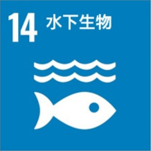 Sdg zh