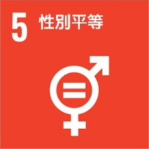 Sdg zh